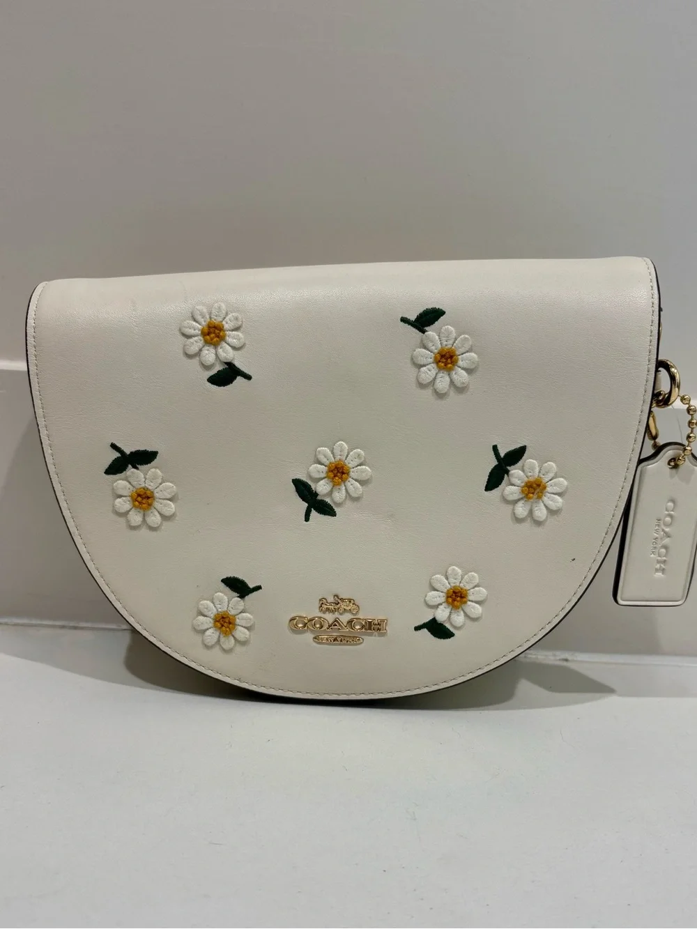 Coach Ellen Daisy Embroidered Leather Crossbody Bag Chalk C2863t